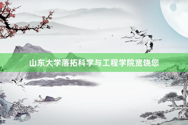 山东大学落拓科学与工程学院宽饶您