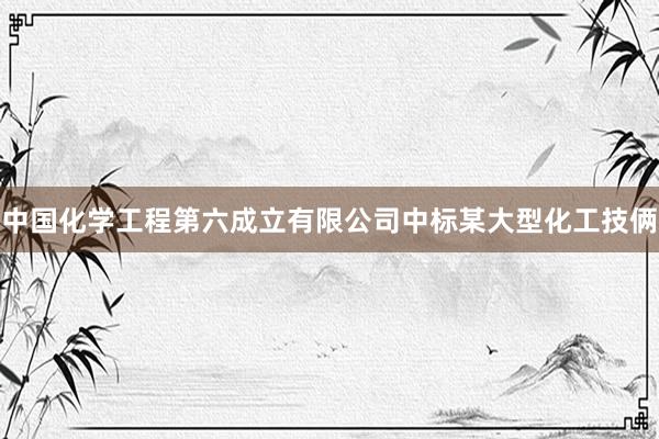 中国化学工程第六成立有限公司中标某大型化工技俩