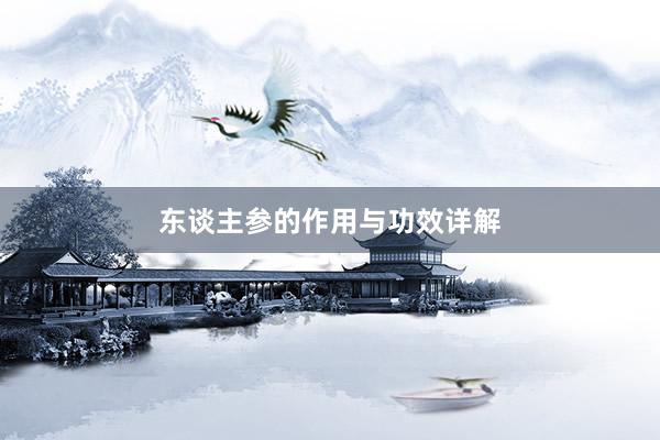 东谈主参的作用与功效详解