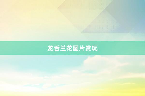 龙舌兰花图片赏玩
