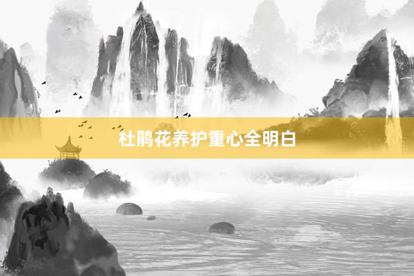 杜鹃花养护重心全明白