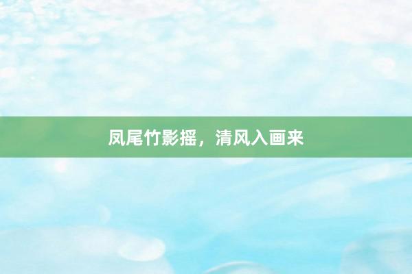 凤尾竹影摇，清风入画来